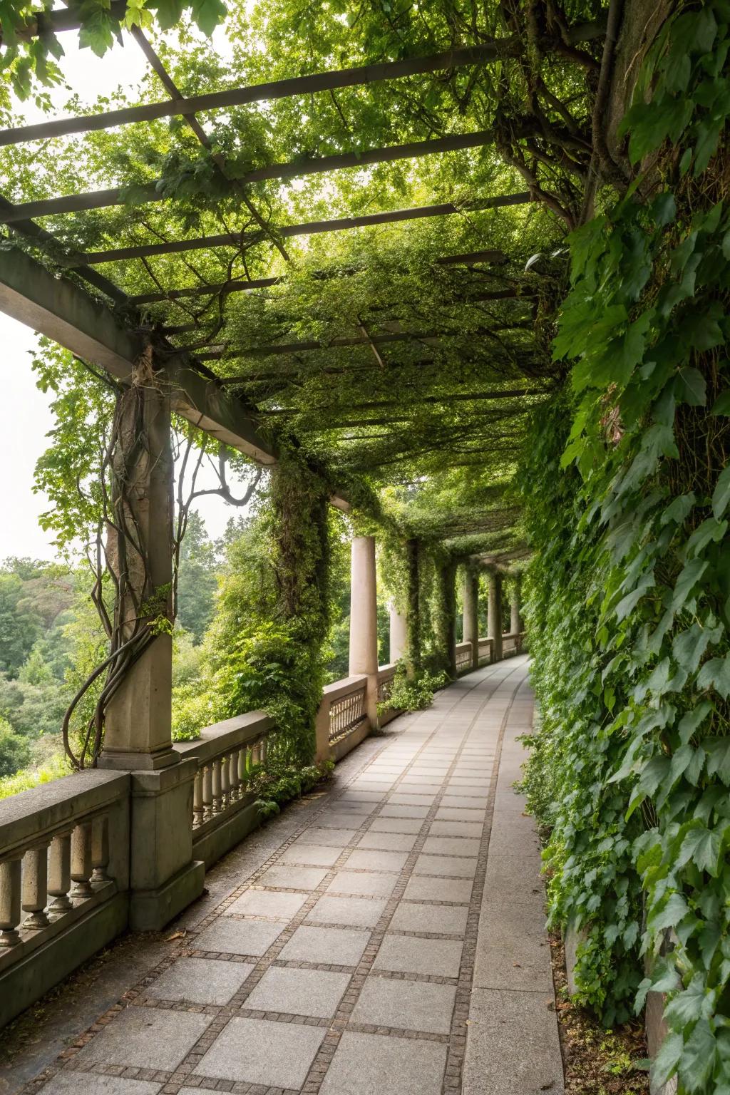 Add privacy with trellises and lush climbing plants.