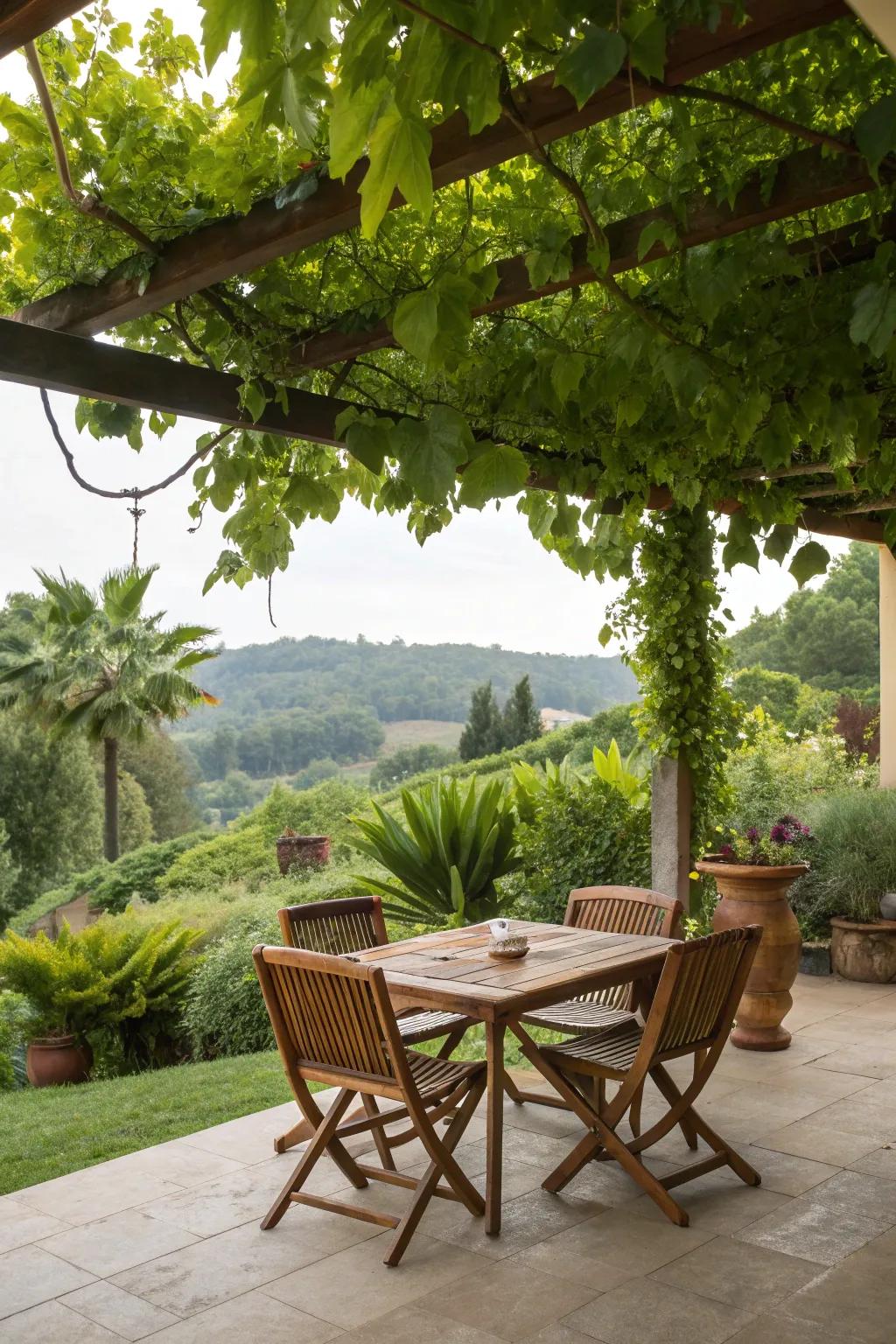 Nature's touch enhances the serenity of your outdoor space.