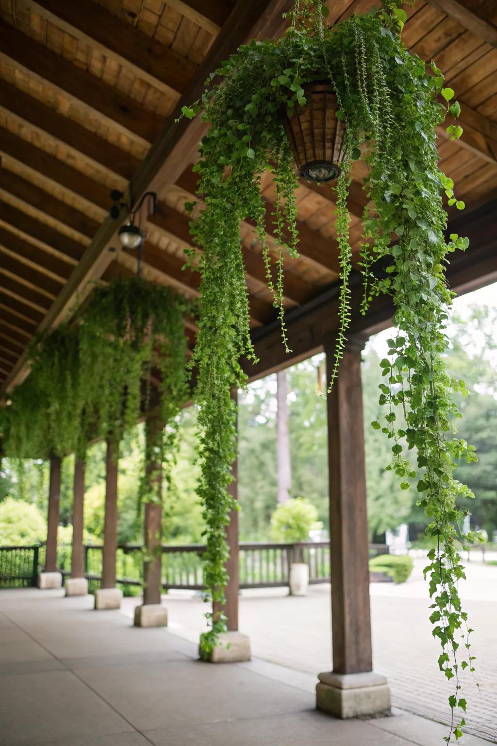A pavilion ceiling transformed into a hanging garden paradise.