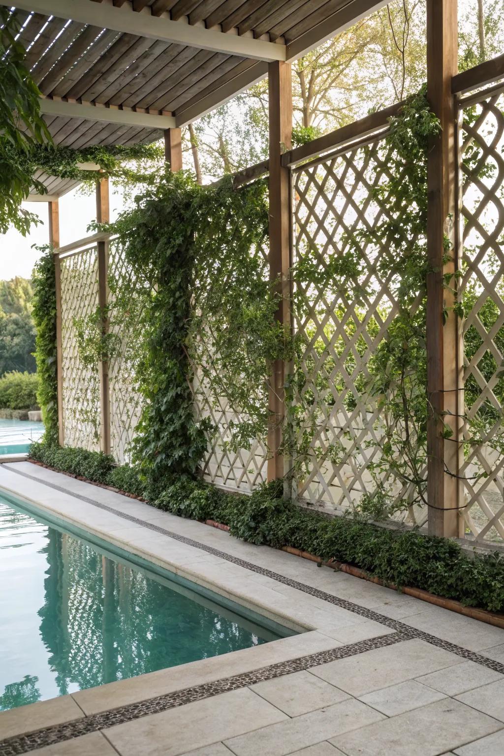 Lattice panels add decorative privacy to your pool deck.