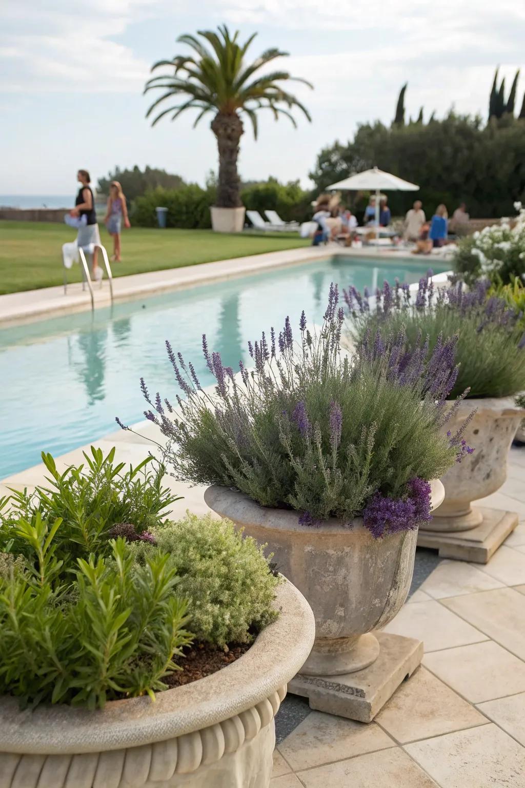 Herbs can bring scent and beauty to your pool decor.