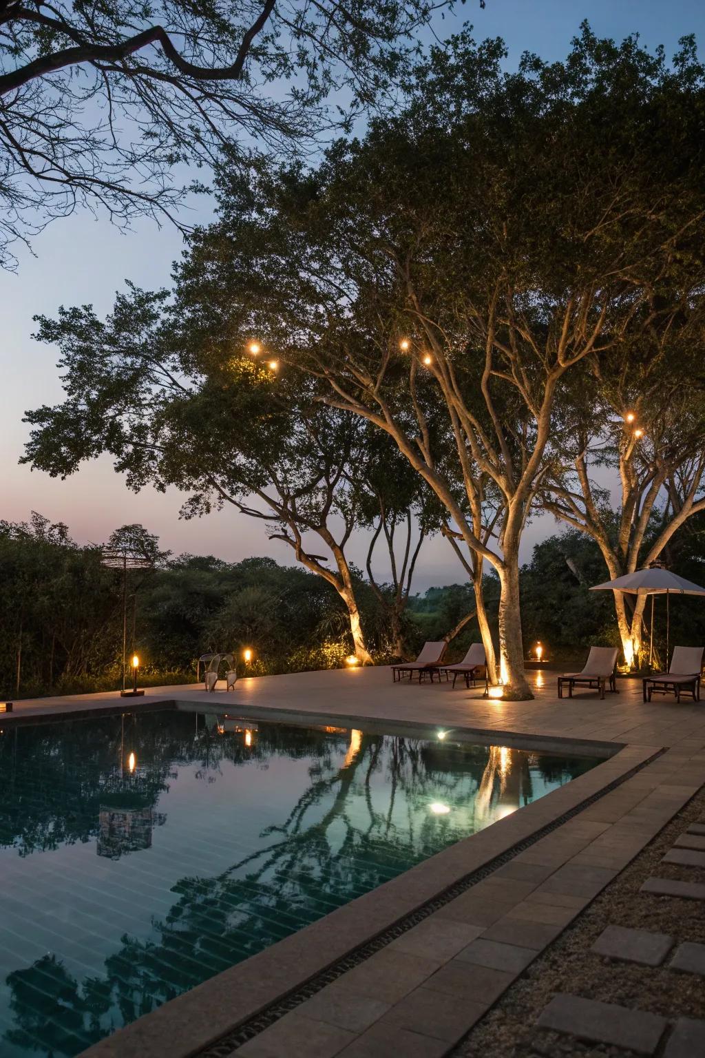Moonlighting offers a gentle, natural glow for serene evenings.