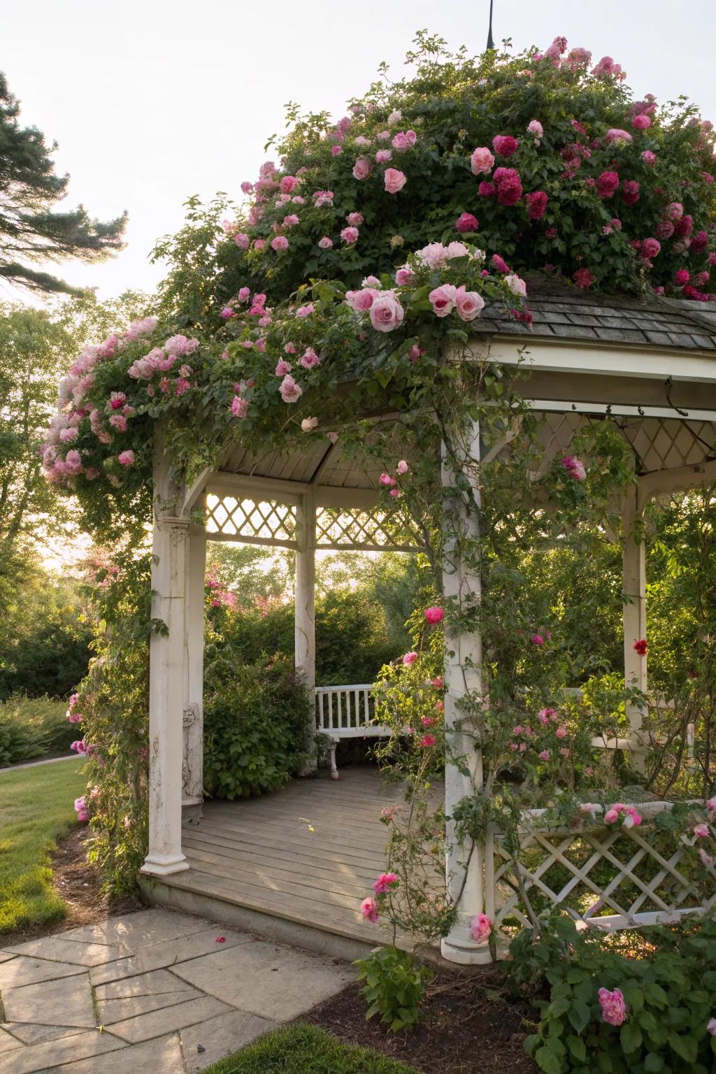 A gazebo transformed by the beauty of climbing roses.