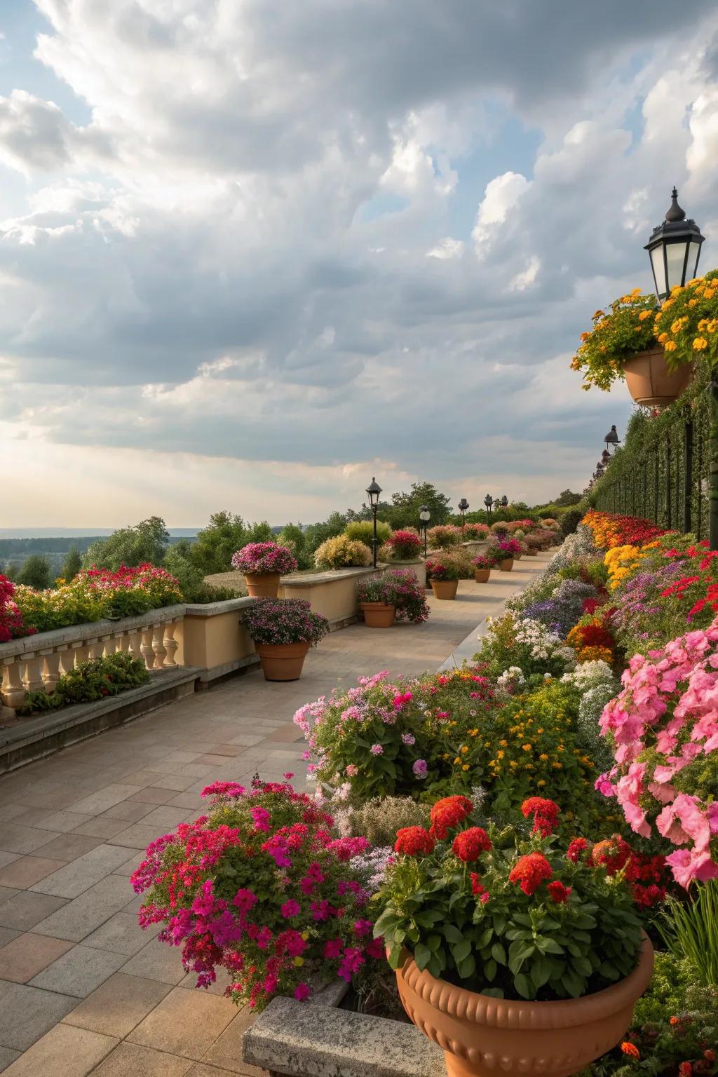 Seasonal flowers keep your terrace garden lively year-round.