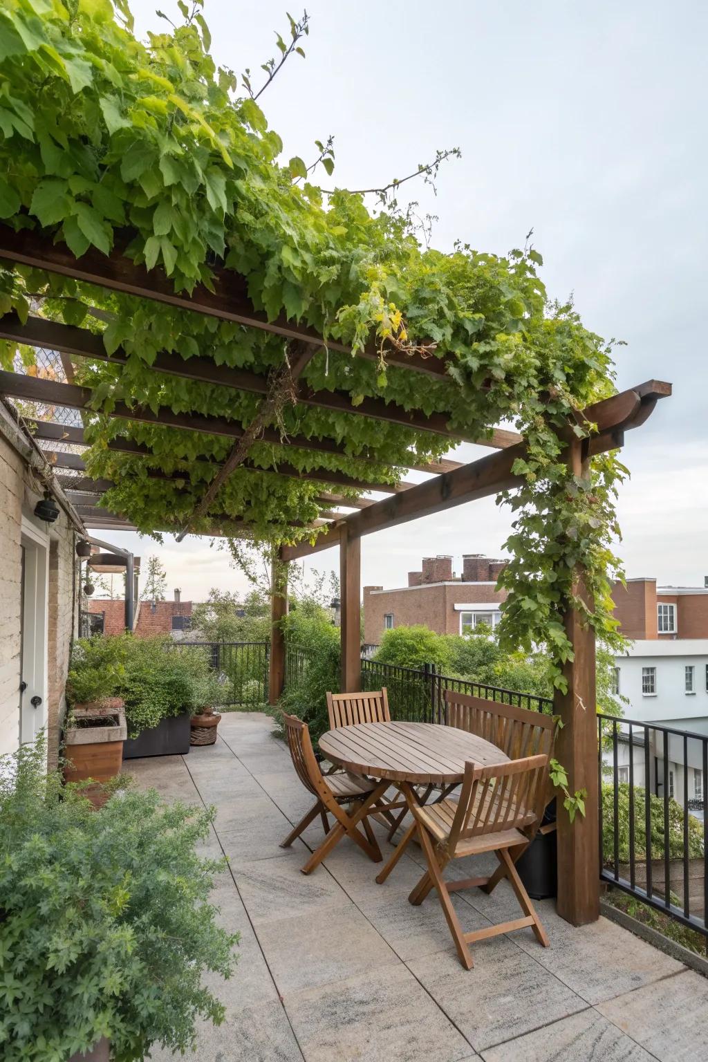 Pergolas provide shelter with a touch of sophistication.