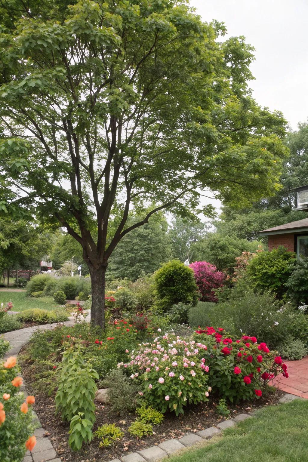 Shrubs and bushes bring variety and color to tree landscapes.