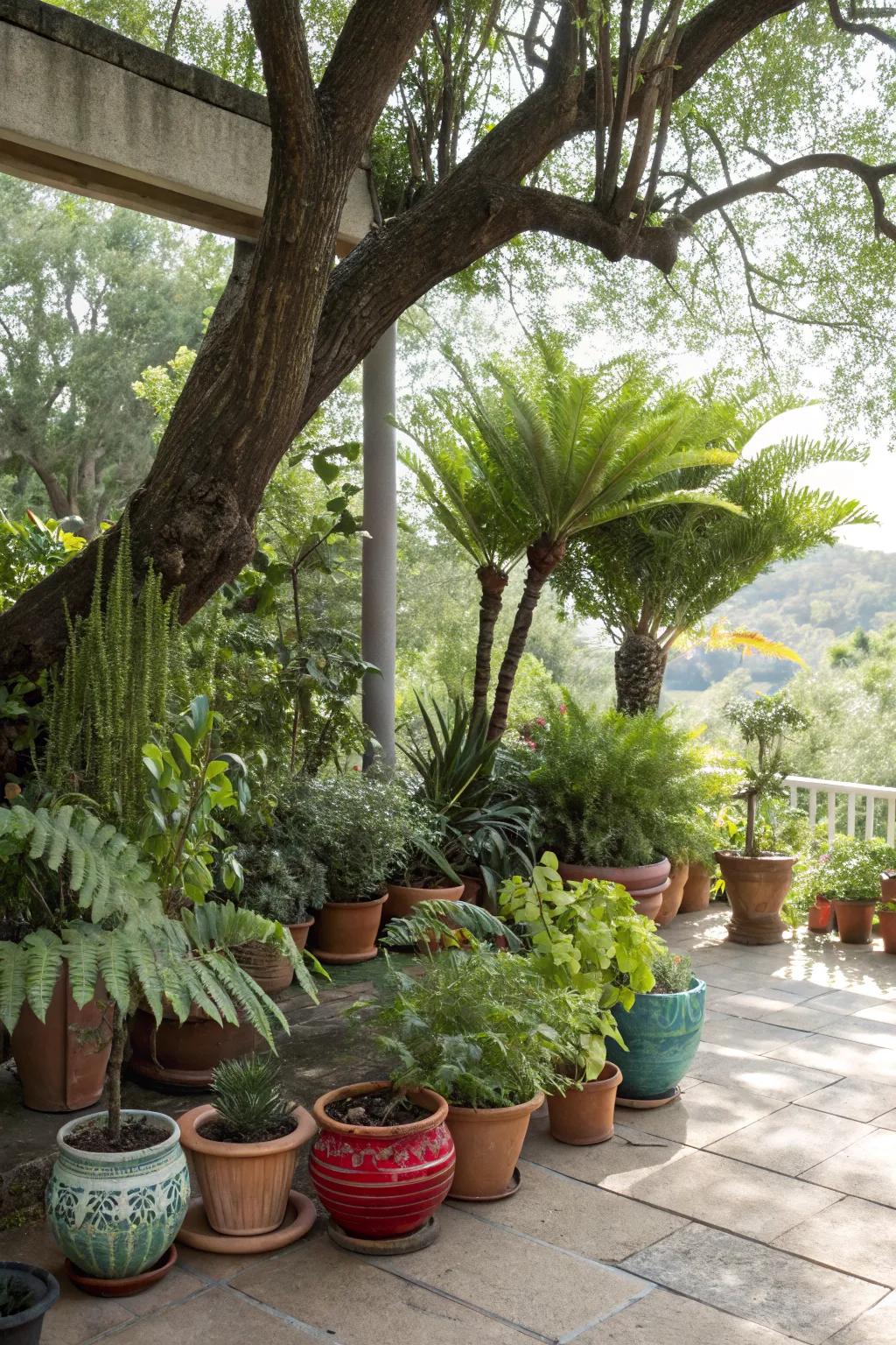 Potted plants bring a burst of life to your patio.