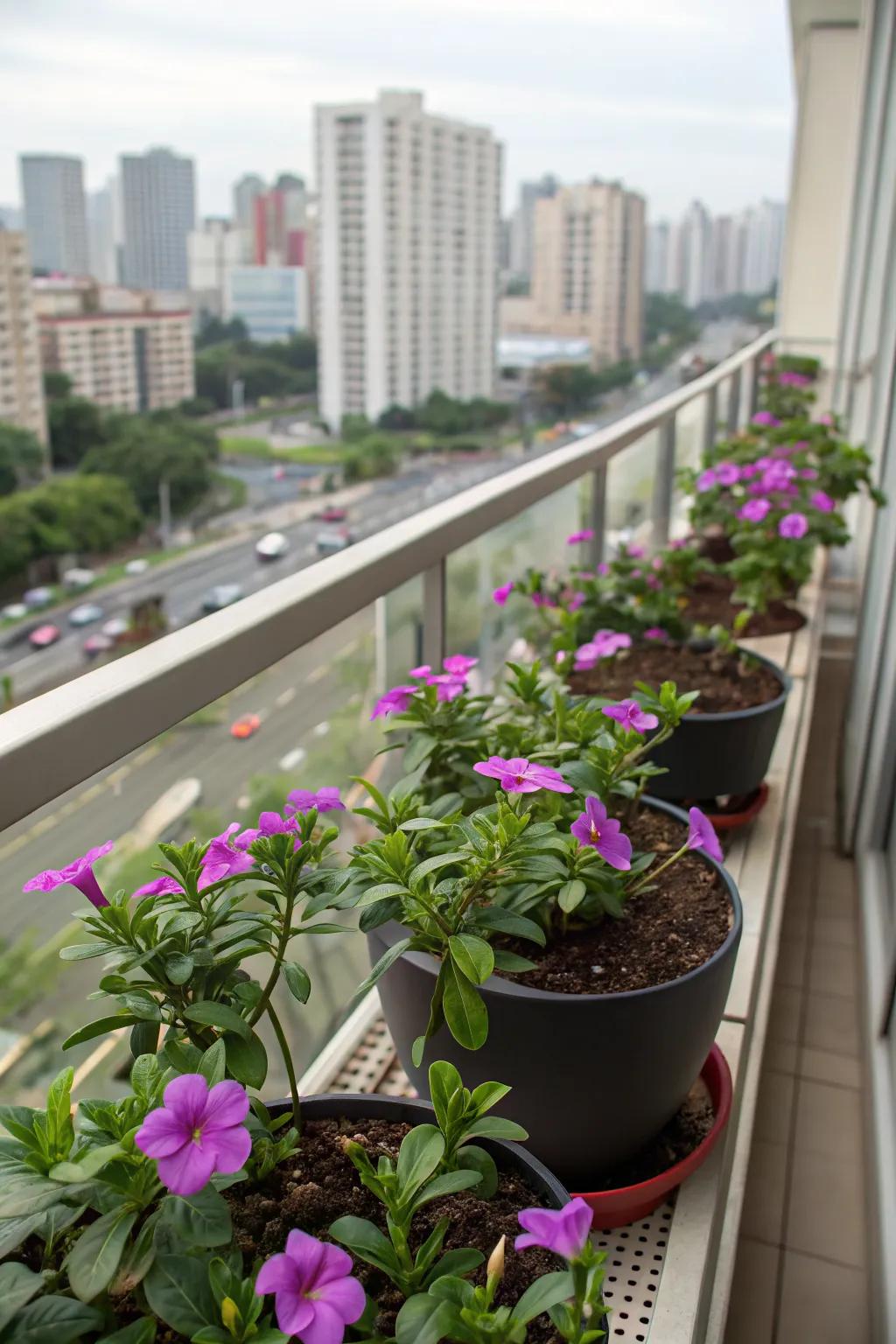 Perfect for compact balcony gardens.