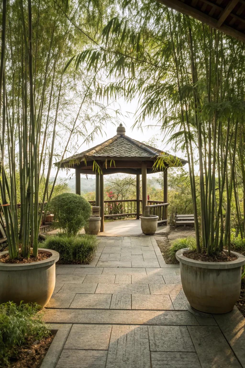 Bamboo planters provide a serene and private Zen garden feel.