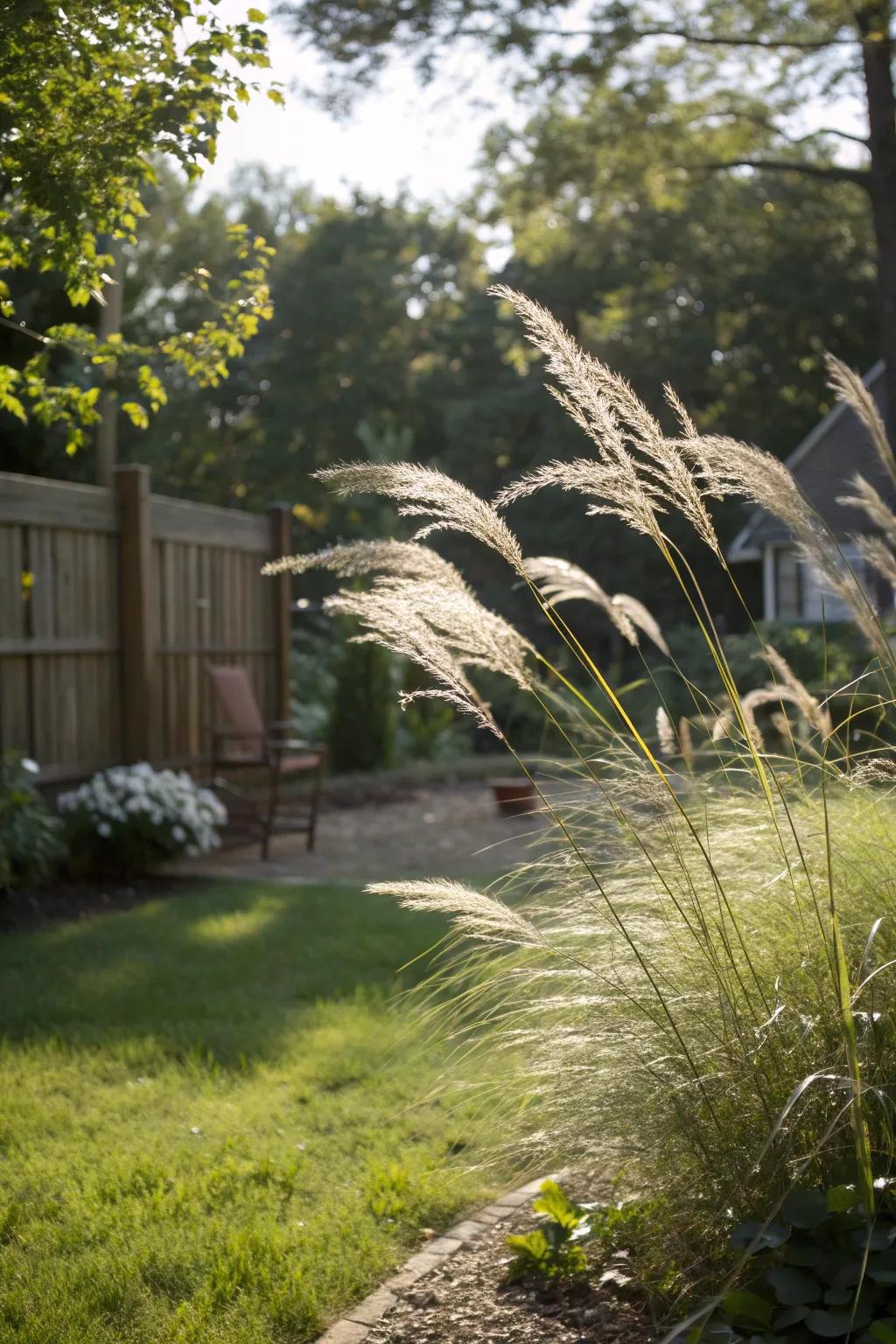 Ornamental grasses offer a light and airy way to enhance privacy.