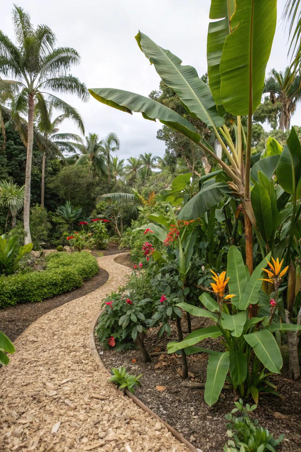 A tropical garden with wood chips enhancing the lush atmosphere.
