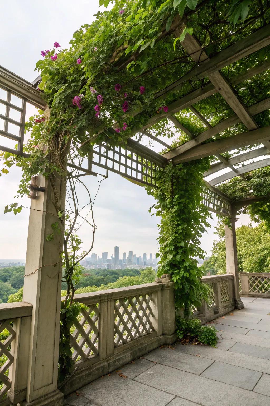 A trellis with climbing plants creates a living privacy barrier.