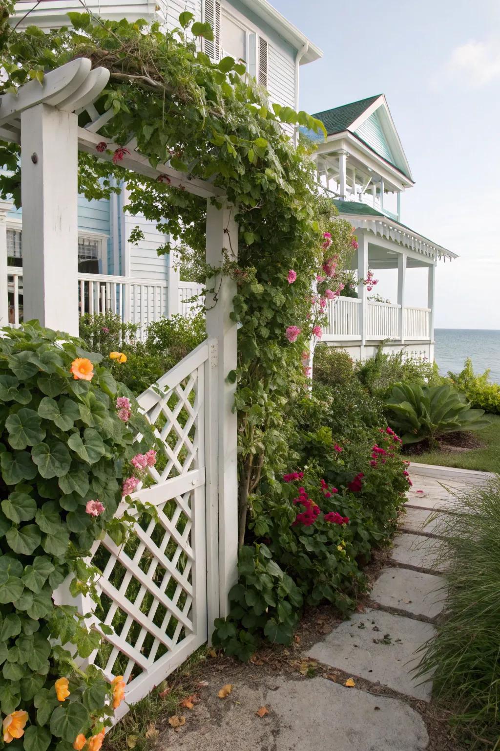 Add decorative flair with lattice and trellis designs.