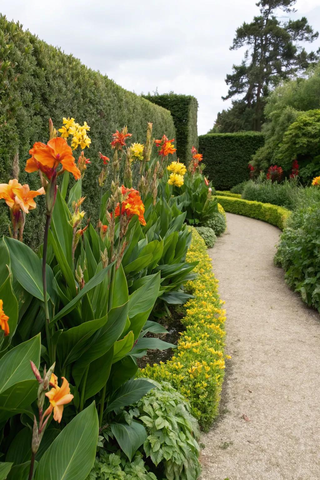 Canna lilies create a private, tropical retreat in your garden.