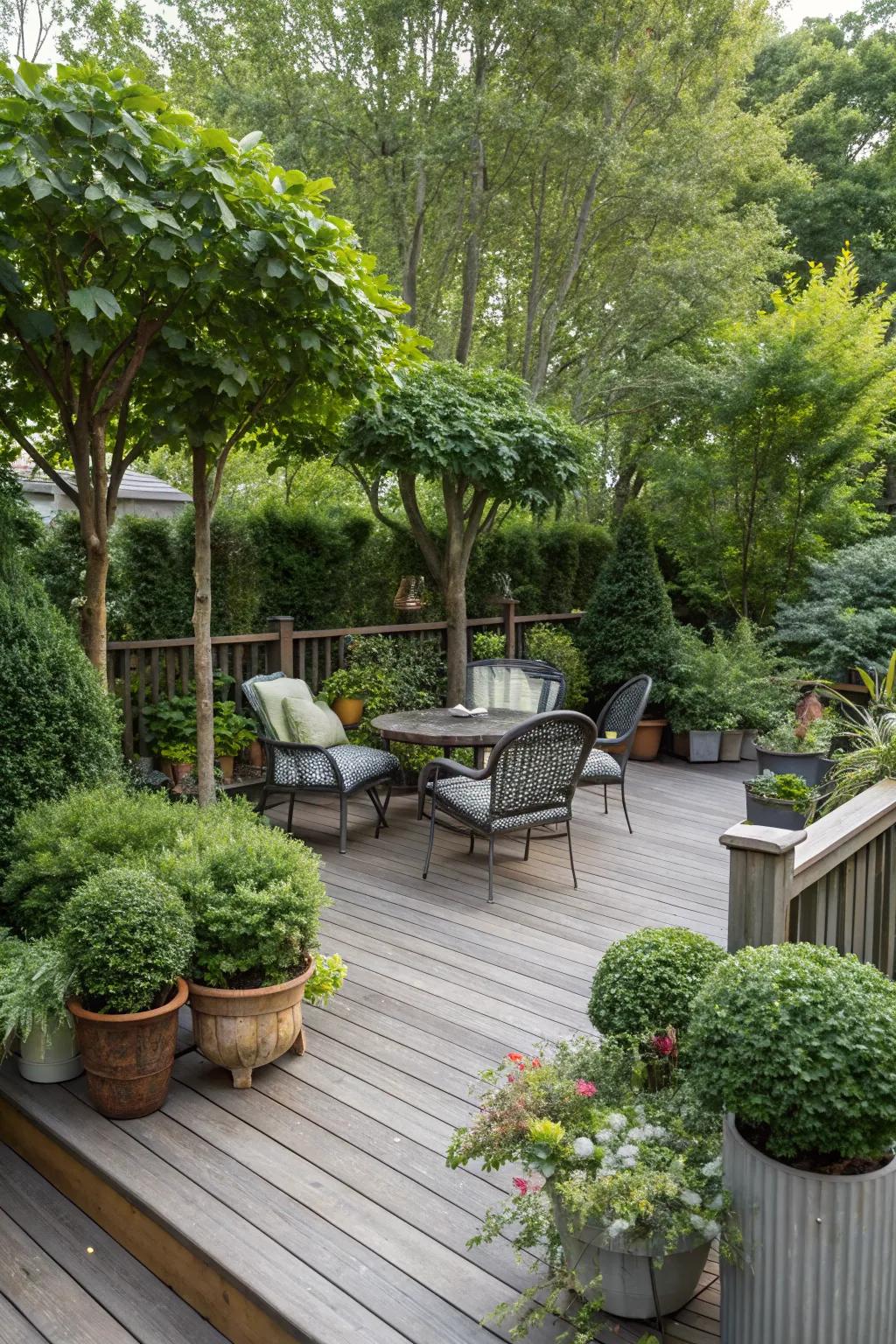 Potted trees and shrubs offer flexible and natural privacy.