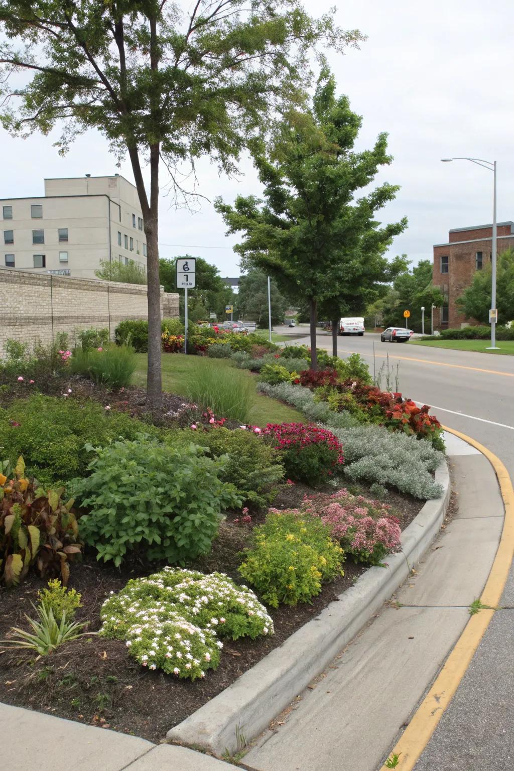 A berm with diverse plantings enhances privacy and landscape interest.