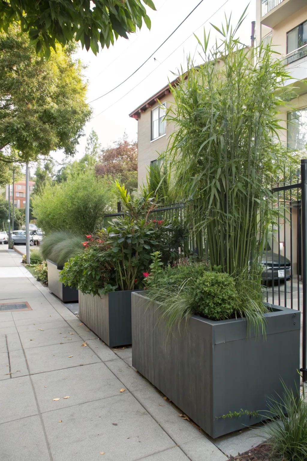 Containers offer versatile privacy options.