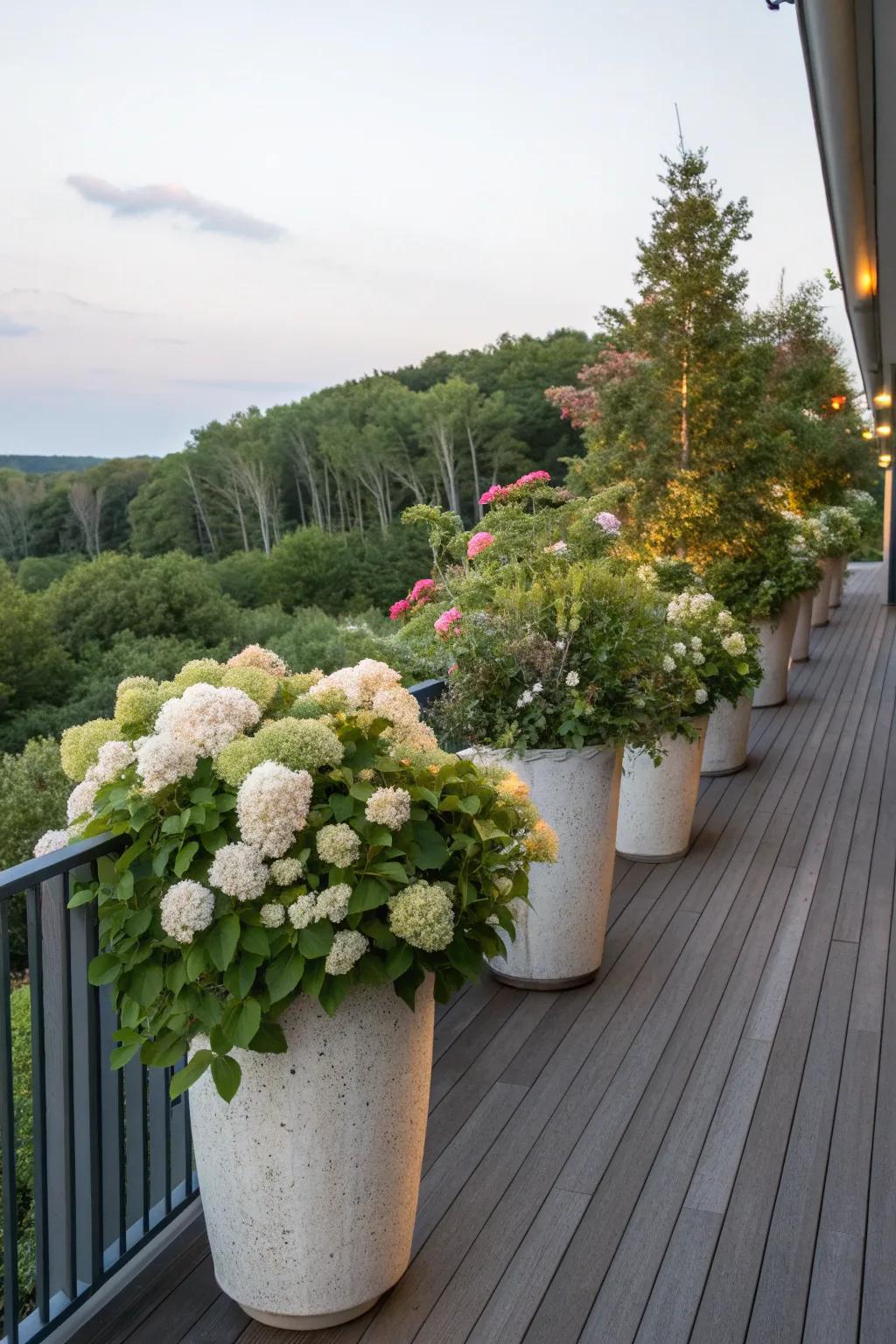 Tall planters with bushy plants offer flexible privacy on the deck.