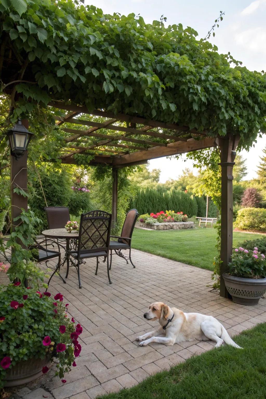 A shaded spot ensures your pup stays cool and comfortable.