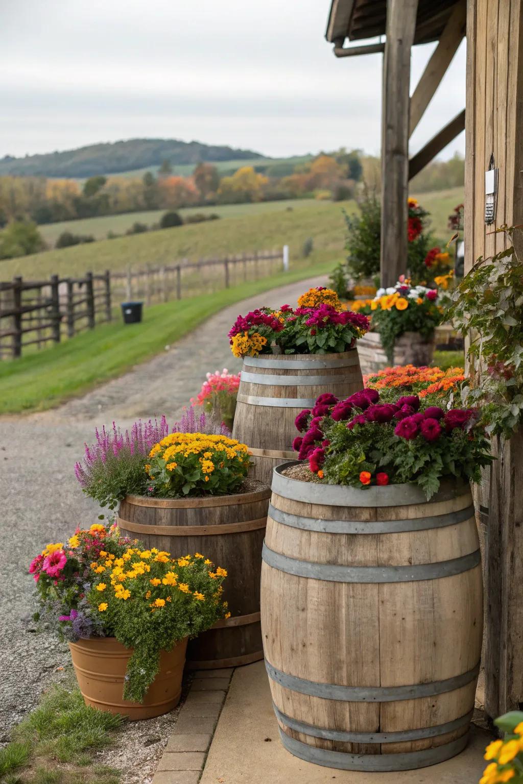 Decorative barrels add a rustic touch with a pop of color.