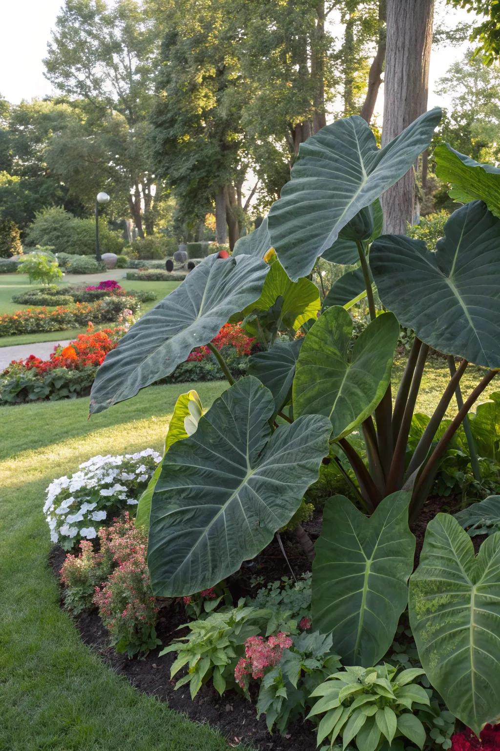 Bold foliage plants create a striking visual impact.