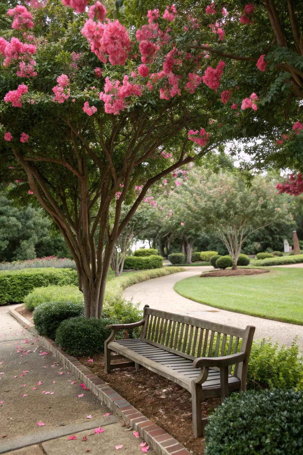 A crepe myrtle provides a serene, shaded retreat.