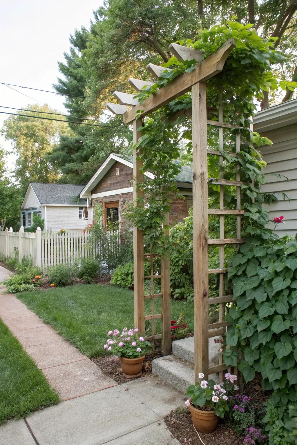 Simple trellis for structure and plant support