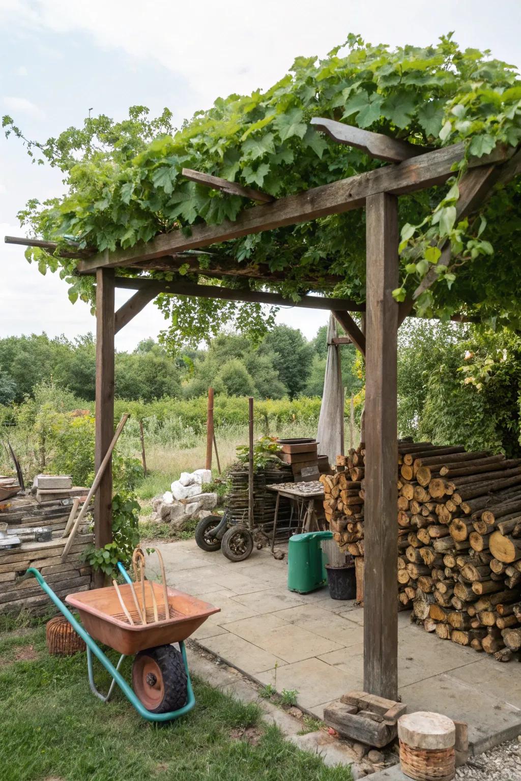 A DIY pergola, a satisfying project for any garden enthusiast.