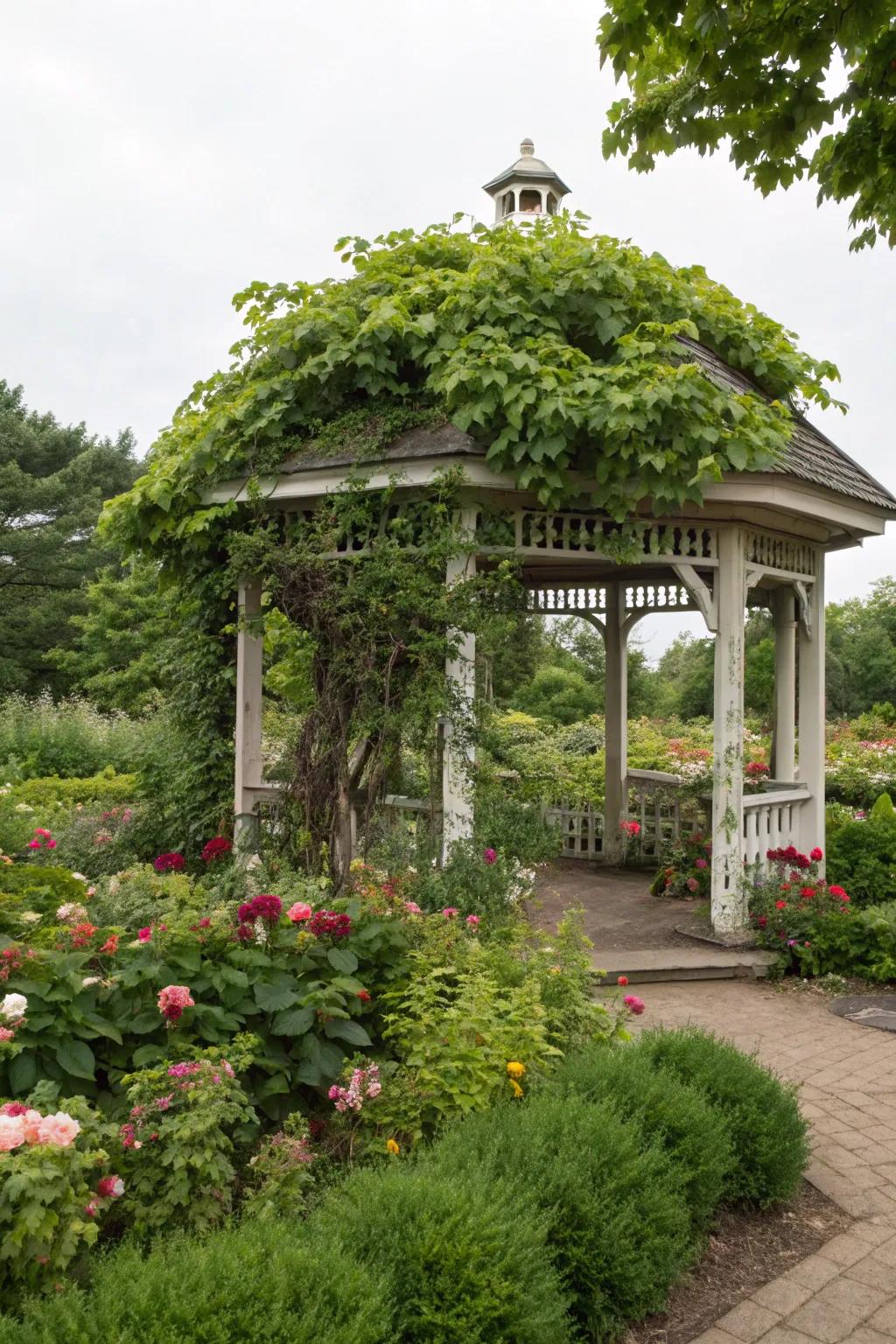 A stunning gazebo enveloped in grapevines, offering a picturesque garden centerpiece.