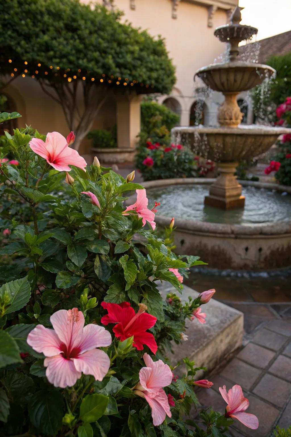 Enhance your garden's tranquility with hibiscus and water features.