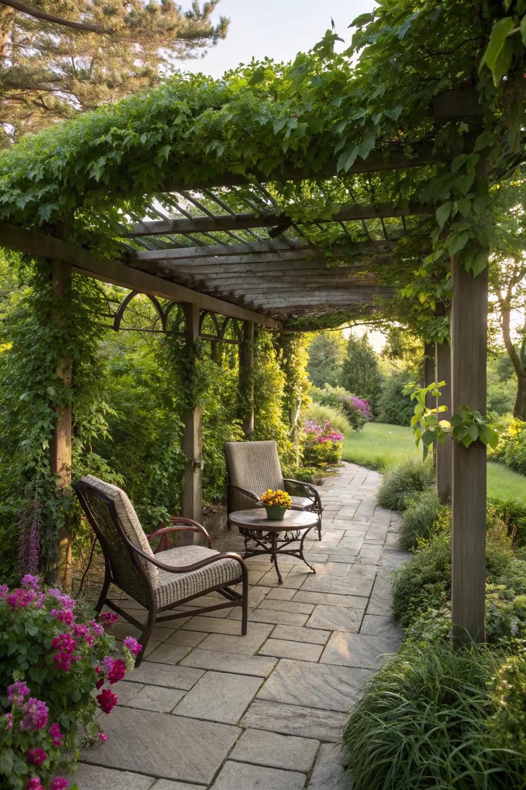 A relaxing pergola offering shade and style.