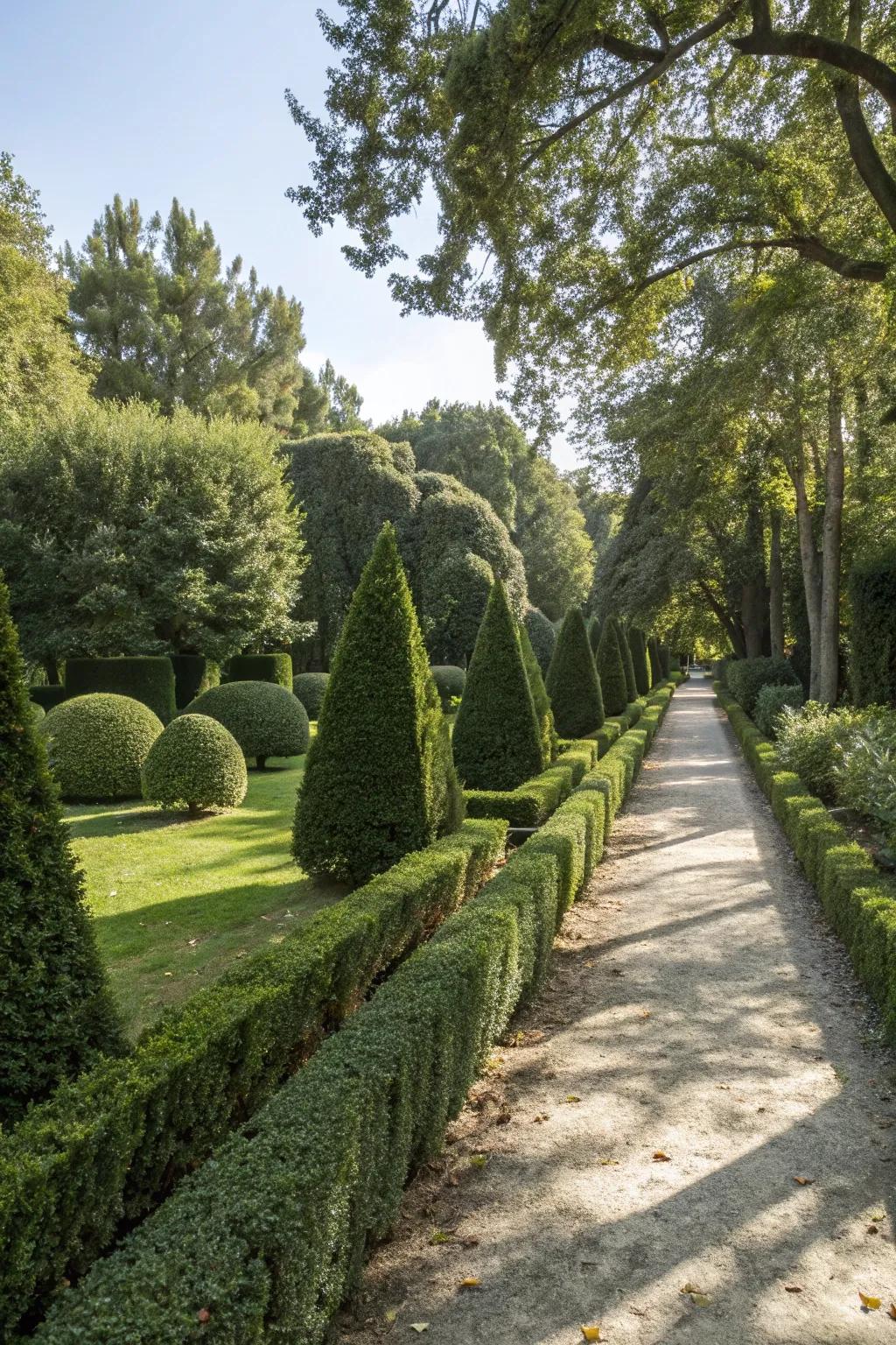 Achieve classic elegance with structured hedges.