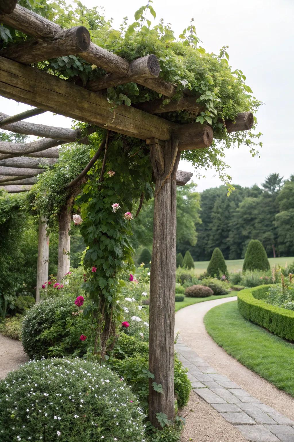 A lush canopy of hanging plants on a log pergola.