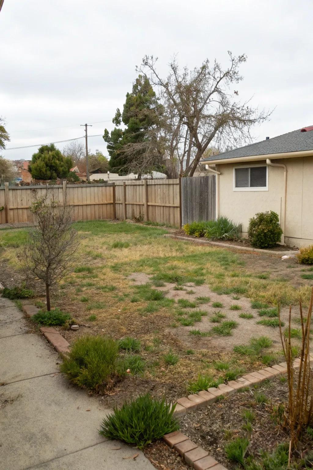 Less lawn means less work and more free time.