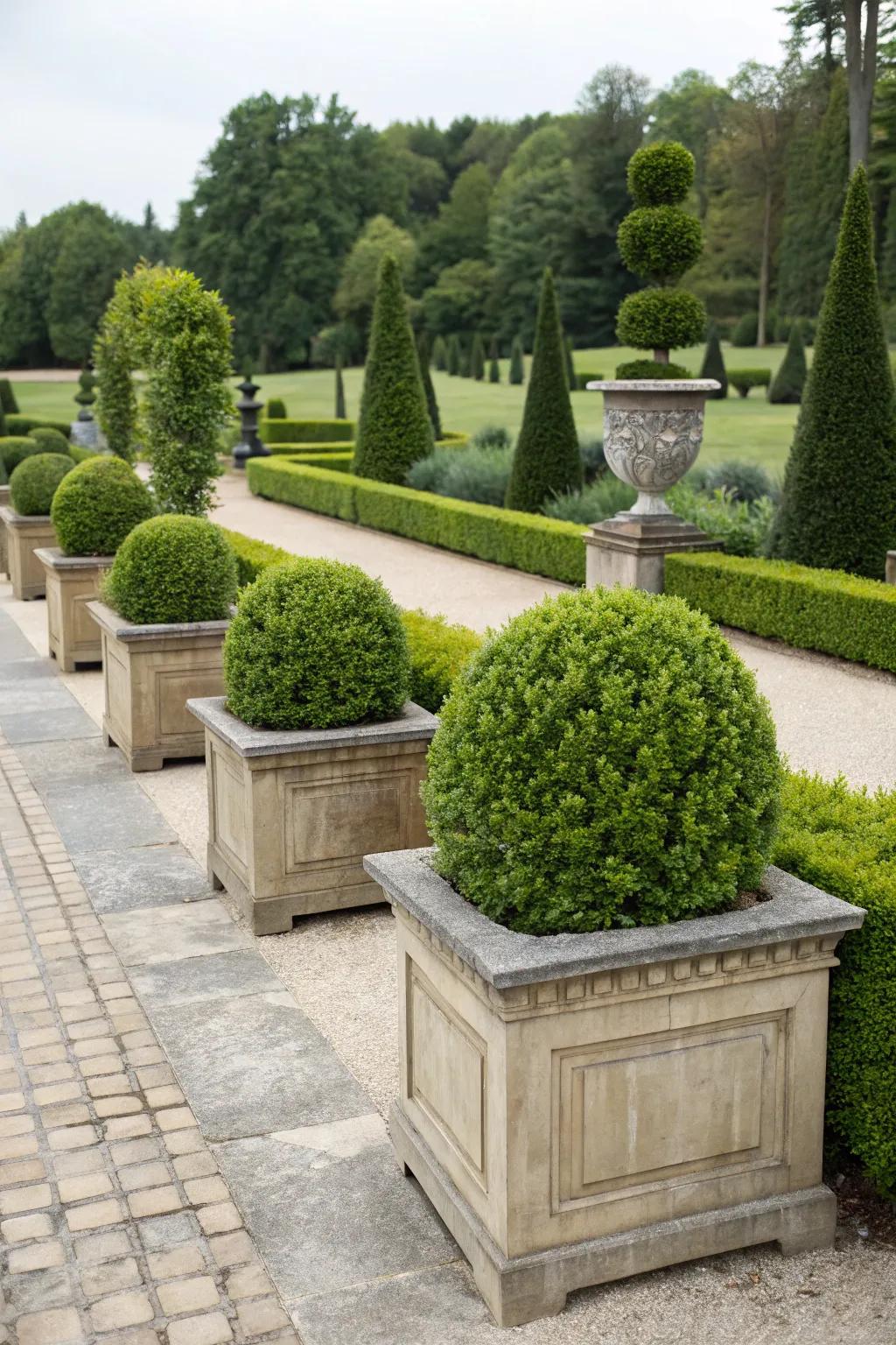 An evergreen elegance with junipers and boxwood for year-round appeal.