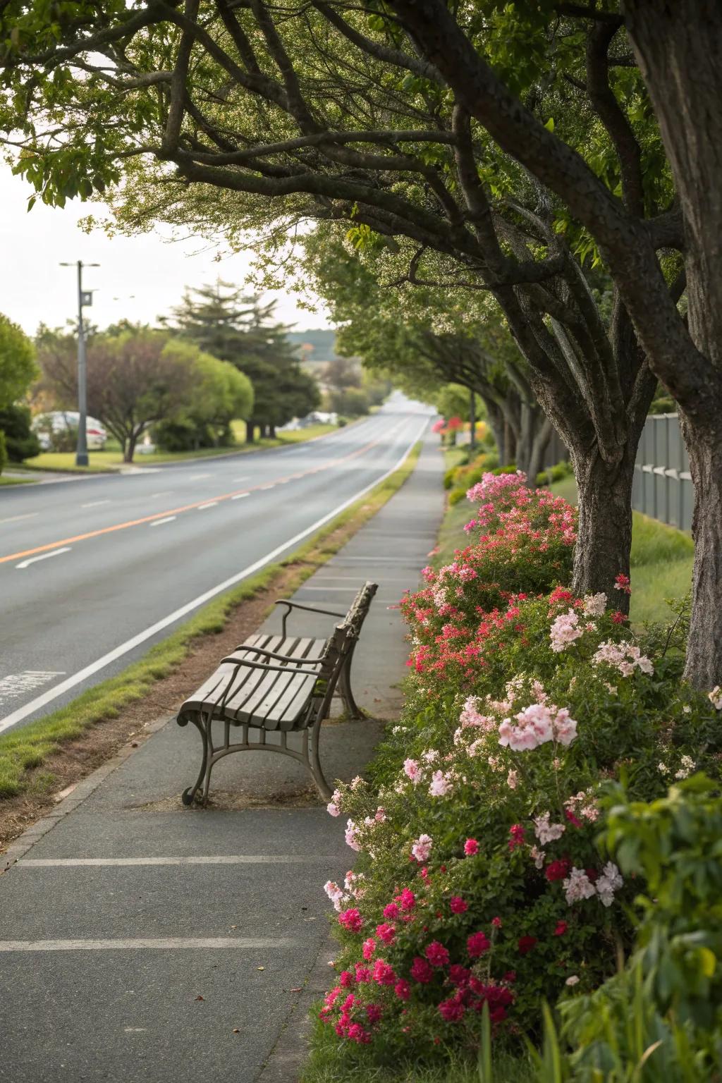 Benches invite passersby to relax and enjoy the view.