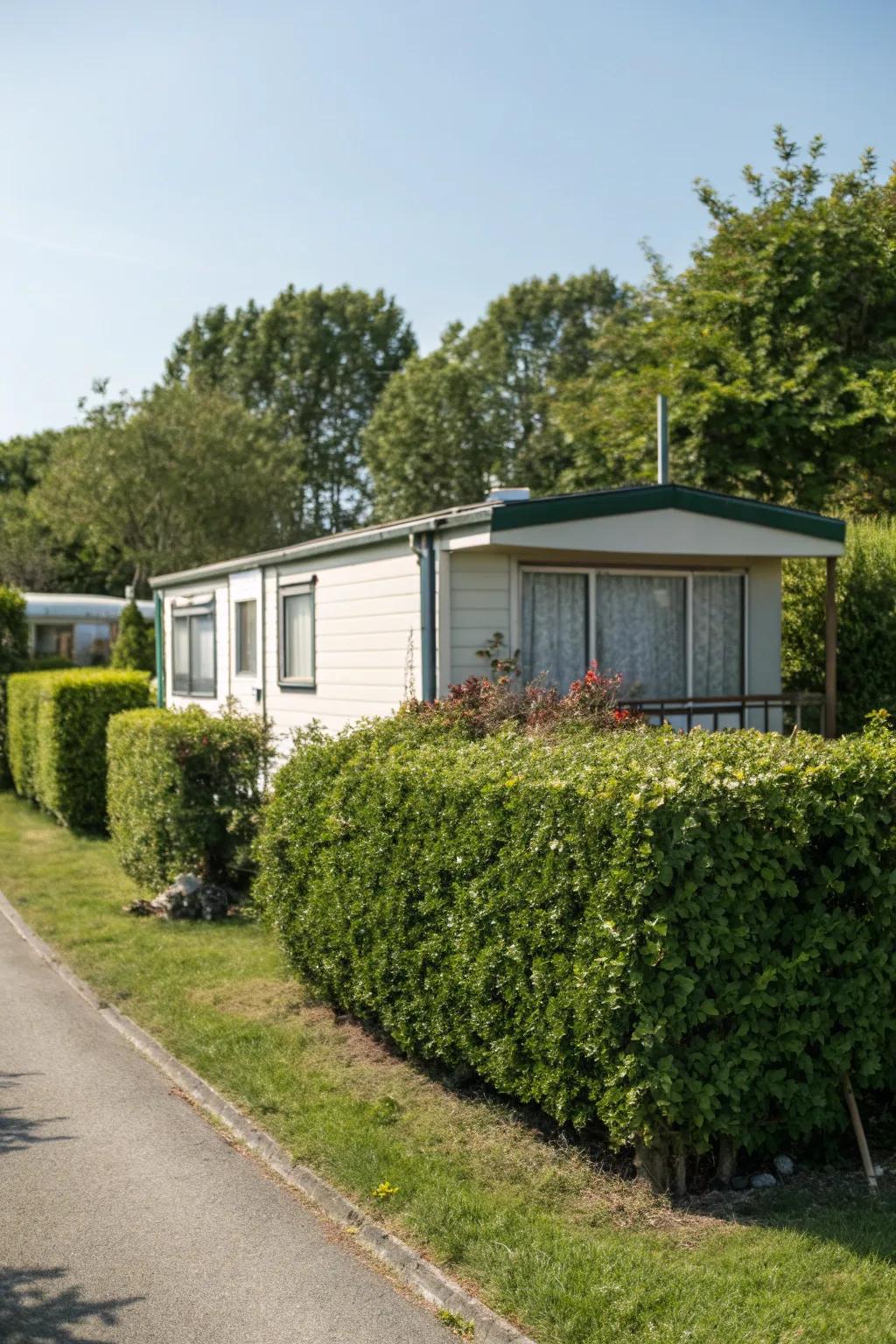 Living fences of shrubs create a natural, green boundary.