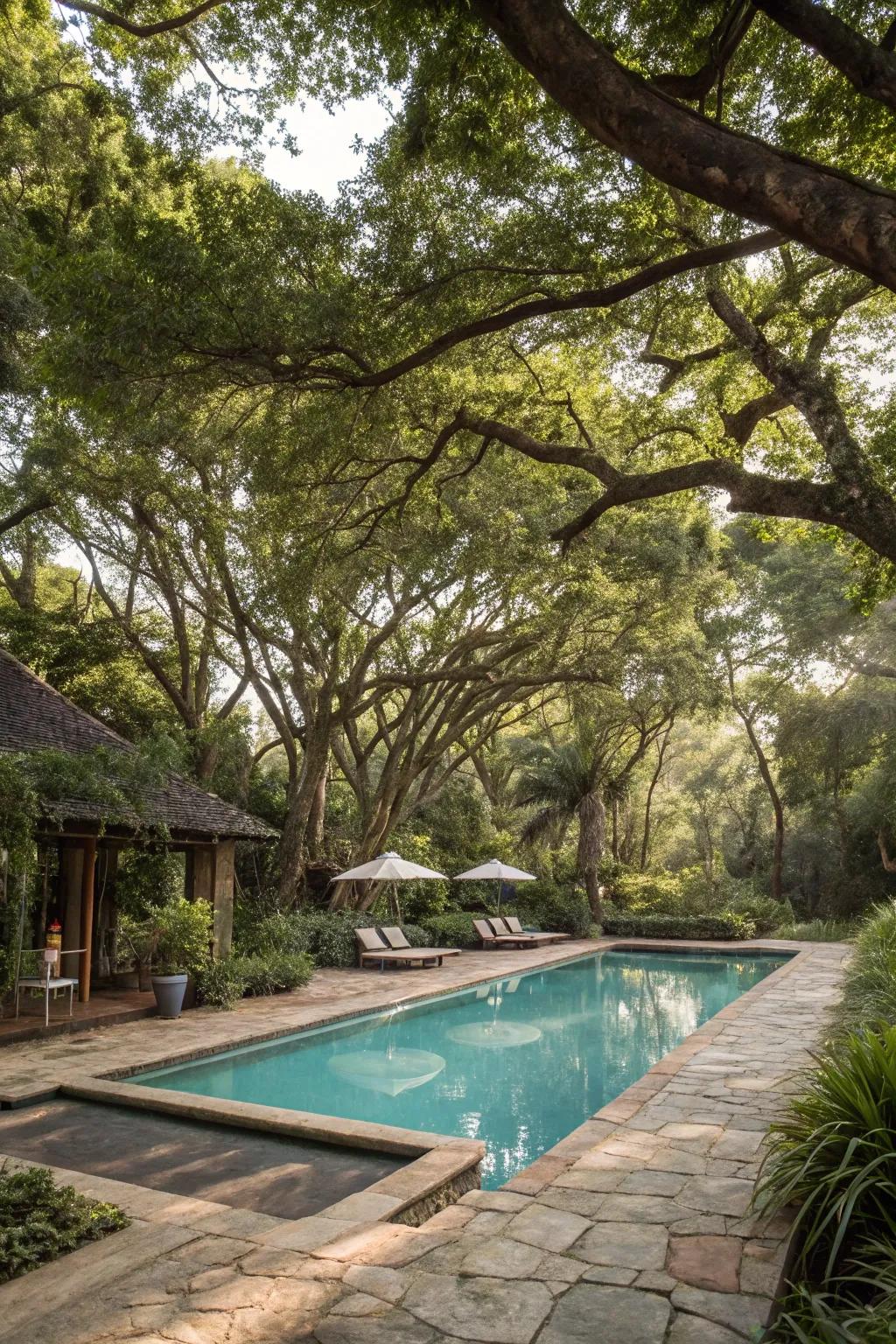 Natural elements create a private and serene poolside oasis.