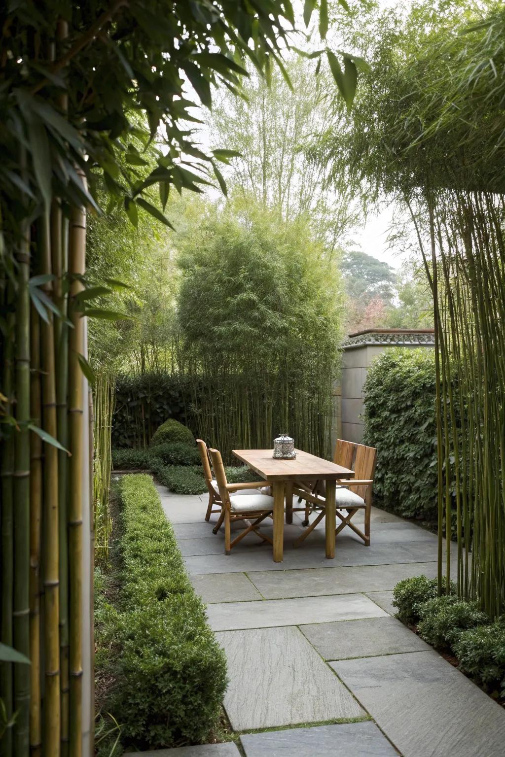 Enhance privacy on your patio with lush natural screens.