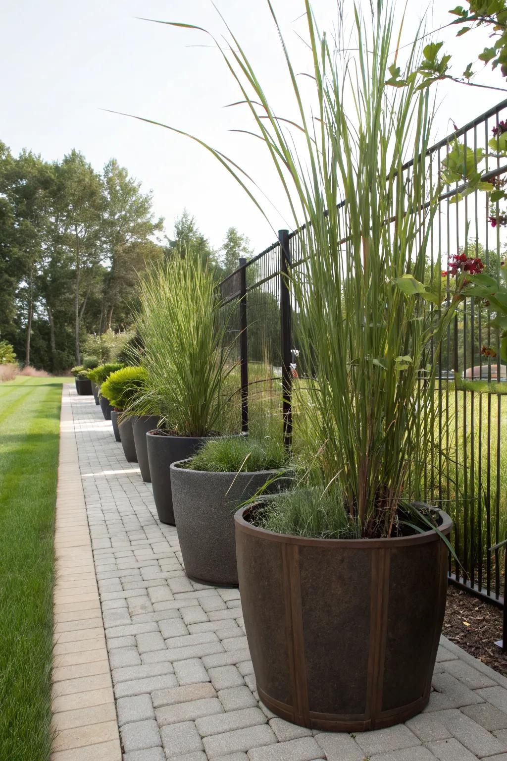 Container plantings providing flexible boundaries.