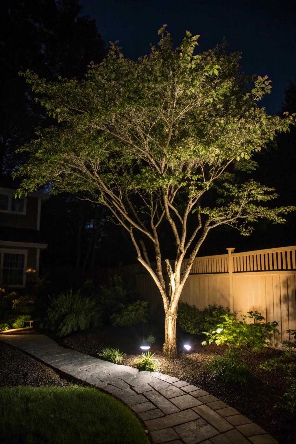 Tree uplighting adds depth and drama to your backyard.