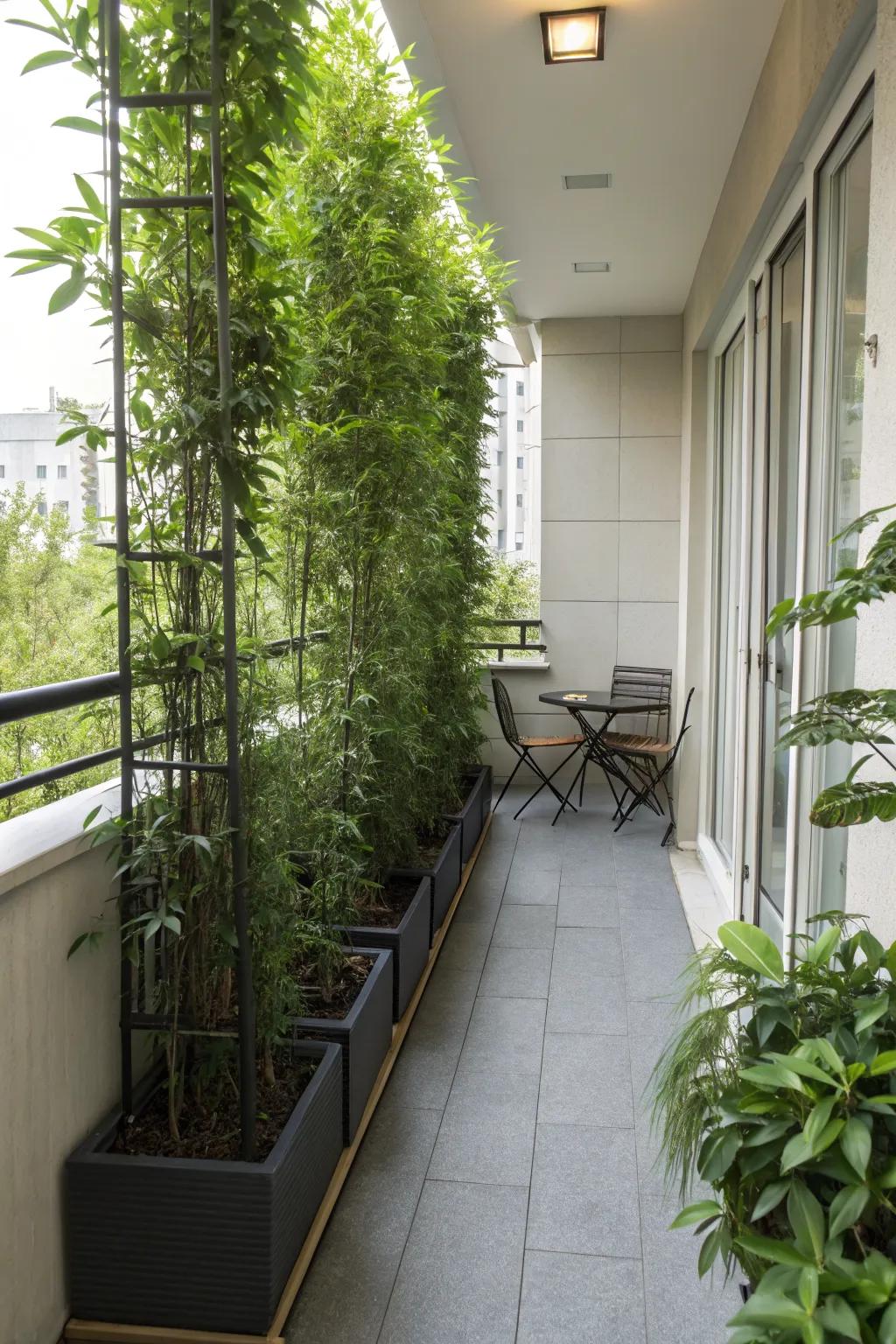 Tall planters can form a natural and stylish privacy barrier.
