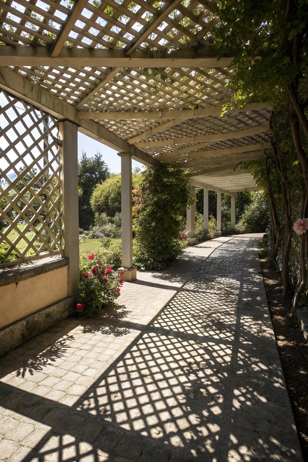 Lattice roofs provide artistic shade with dappled sunlight.