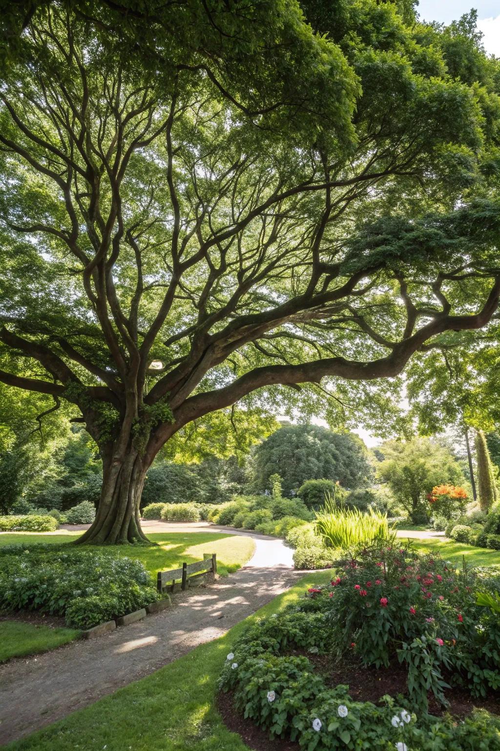 A majestic tree offering shade and character to the garden.