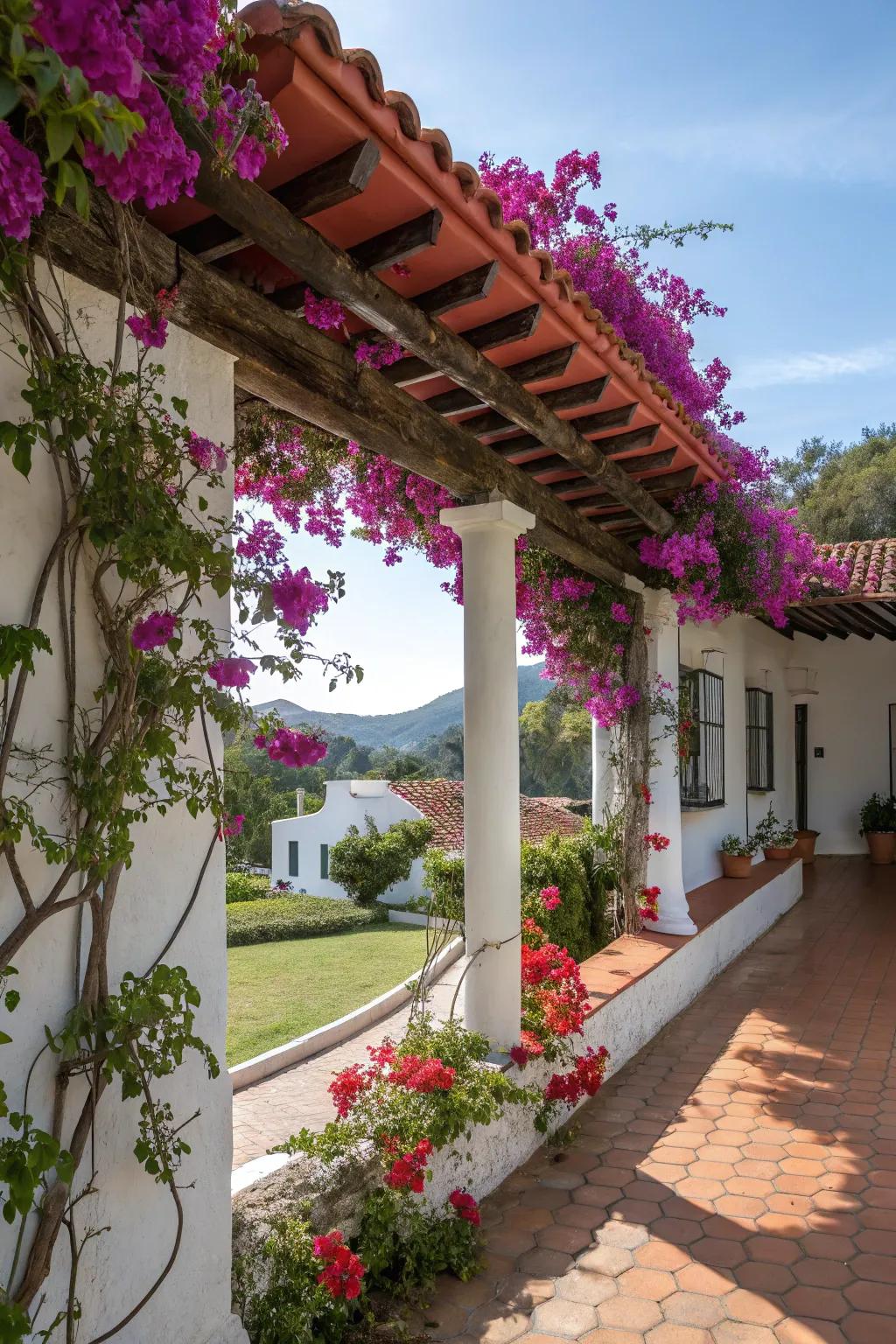 Vibrant bougainvillea adds color and life to your porch.
