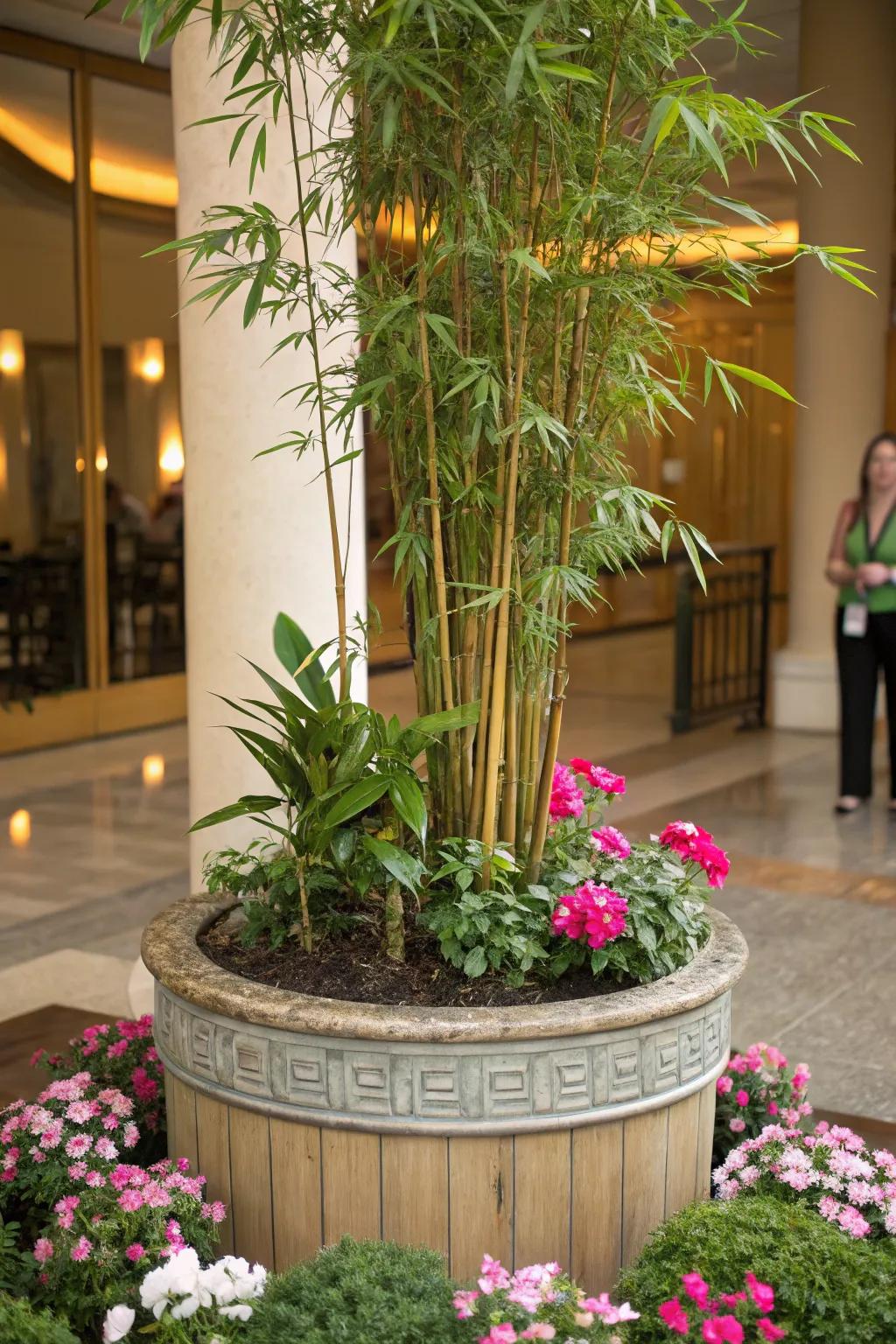 Bamboo providing an exotic and tall focal point.