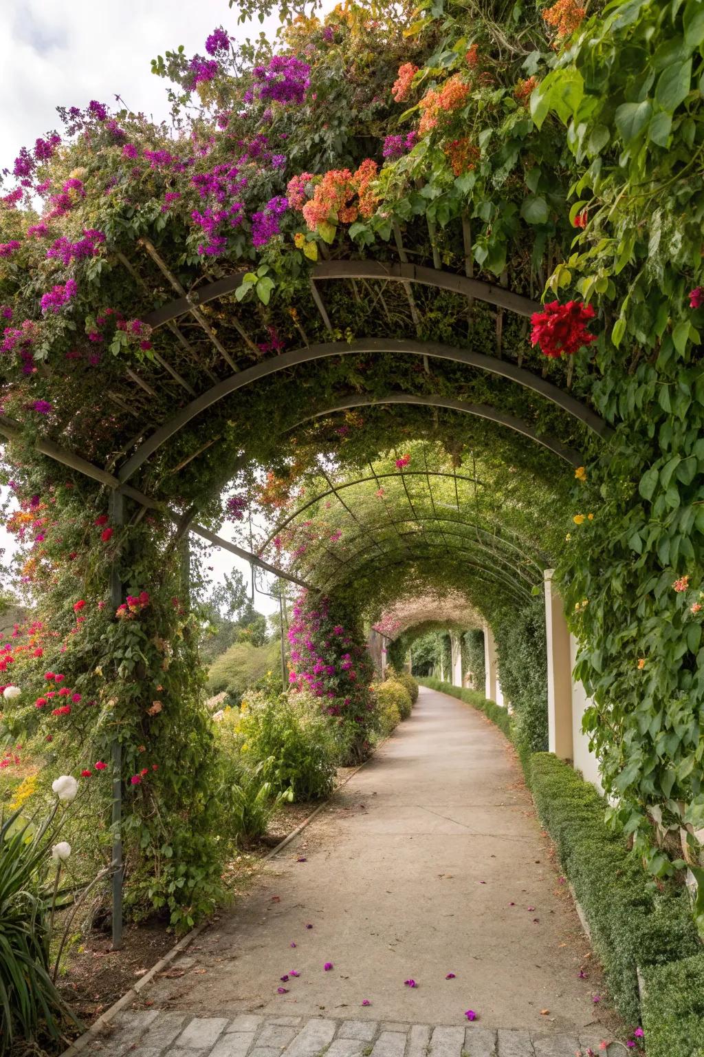 A tropical paradise with passion vine enveloping the trellis.