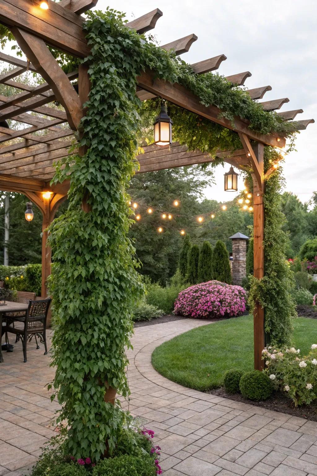 Elegant pergola providing shade and style to the backyard.