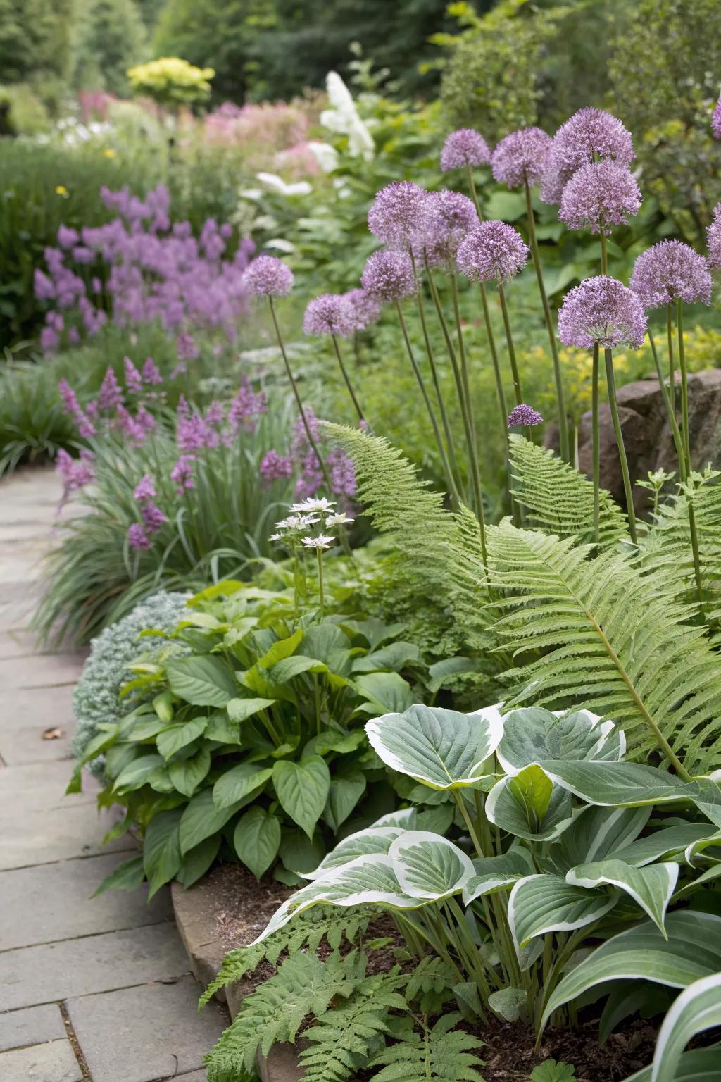 Textural variety with alliums, ferns, and hostas
