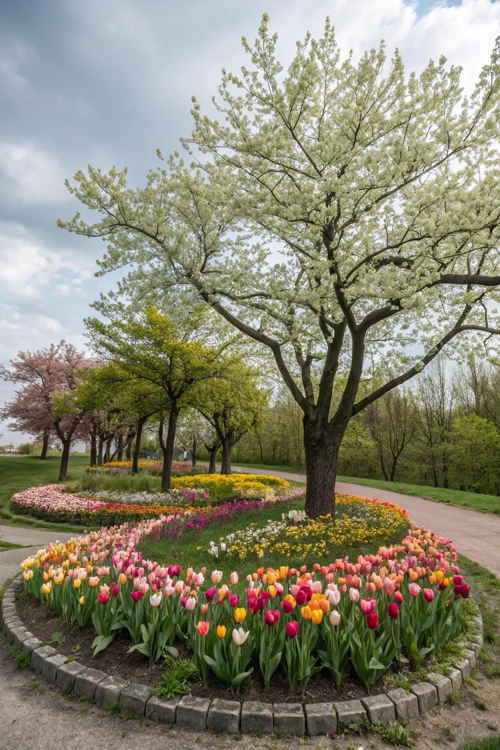 Bulbs encircling trees create a magical garden feature.